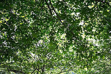 国产悬疑《孙美琪疑案：雨儿胡同》上架Steam 寻找凶案真相